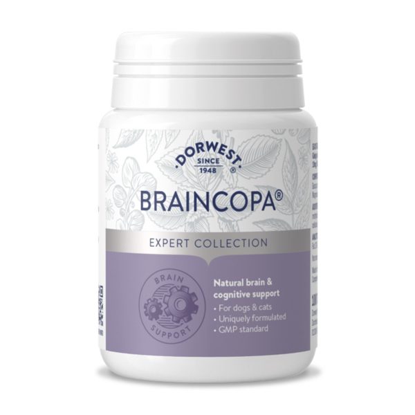 BrainCopa