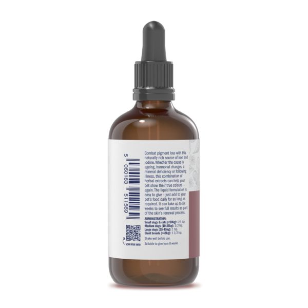 Elderberry & Nettle Extract - Image 2