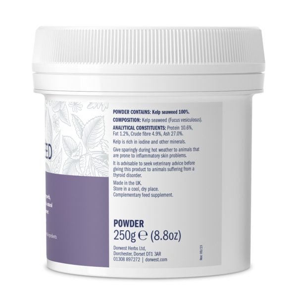 Kelp Seawood Powder - Image 3