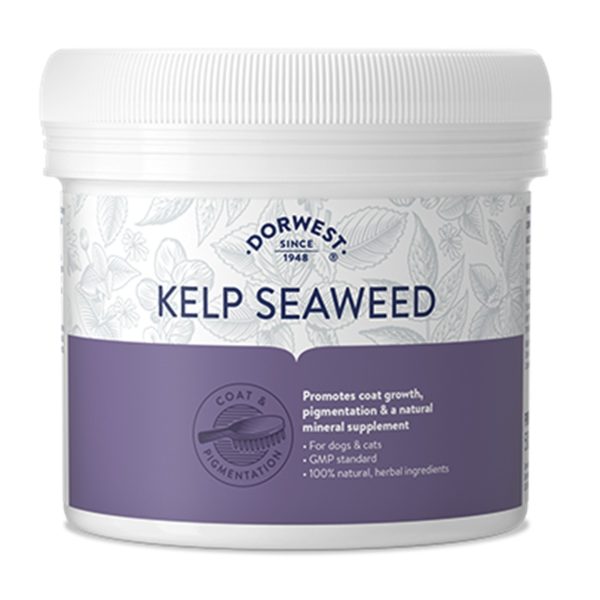Kelp Seawood Powder