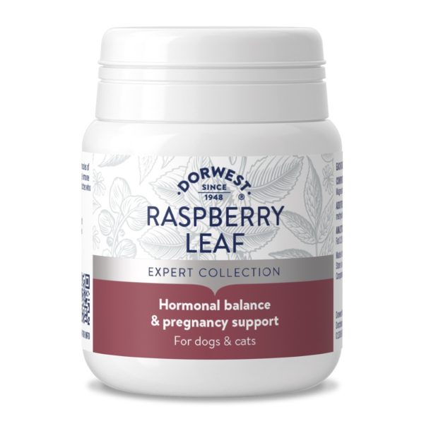 Raspberry Leaf